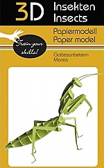 Bidsprinkhaan - 3D karton model