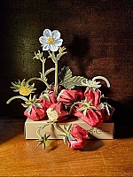 Origami Aardbeien Coorte Piet Design 