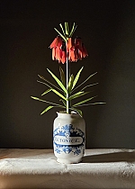 Keizerskroon Piet Design