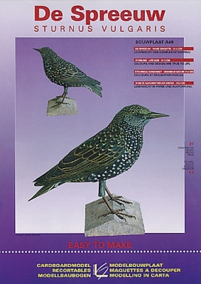 De spreeuw ( Sturnus Vulgaris )