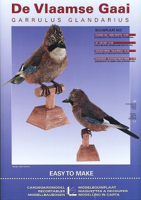 De Vlaamse gaai ( Garrulus glandarius )