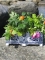 Bloemenblok - Piet design