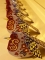 Imari roodborstjes Piet Design