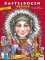 Indianen 3D knutselset