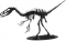 Dromaeosaurus - 3D karton model
