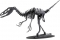 Dromaeosaurus - 3D karton model