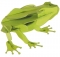 Kikker 3D karton model