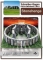 Stonehenge 1:250