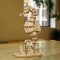 Zeepaardje Houten 3D Puzzel Kikkerland