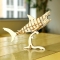 Haai Houten 3D Puzzel Kikkerland