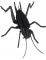 Insecten - 3D karton model