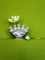 Bloemenwaaier Piet Design