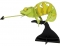 Kameleon - 3D karton model