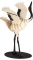Kraanvogel - 3D karton model