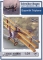 Sopwith Triplane 1:24