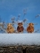 Hooglanders Piet Design
