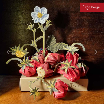 Origami Aardbeien Coorte Piet Design 